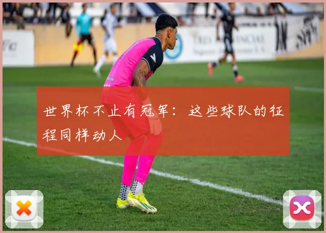 世界杯不止有冠军:这些球队的征程同样动人