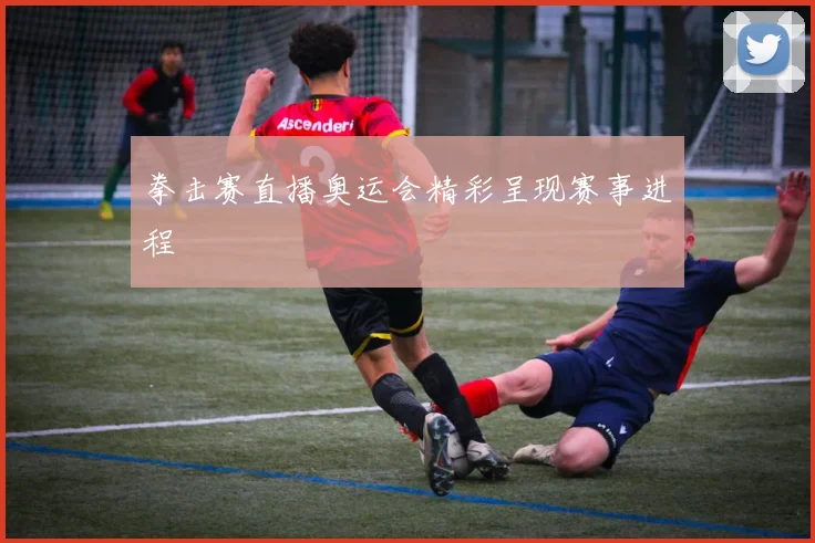 拳击赛直播奥运会精彩呈现赛事进程