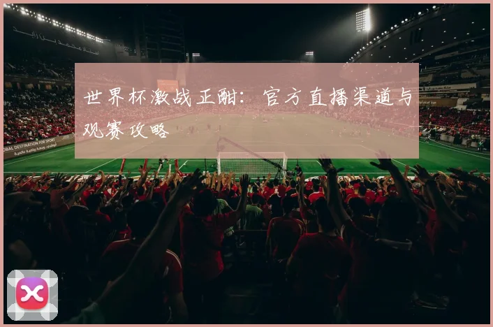 世界杯激战正酣:官方直播渠道与观赛攻略