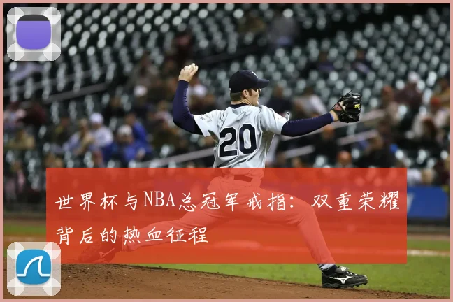 世界杯与NBA总冠军戒指:双重荣耀背后的热血征程