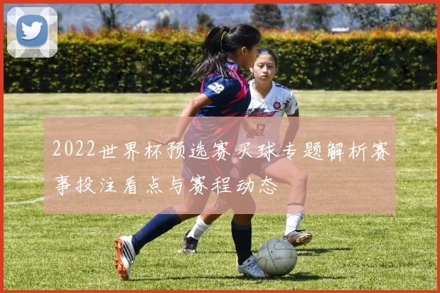 2022世界杯预选赛买球专题解析赛事投注看点与赛程动态