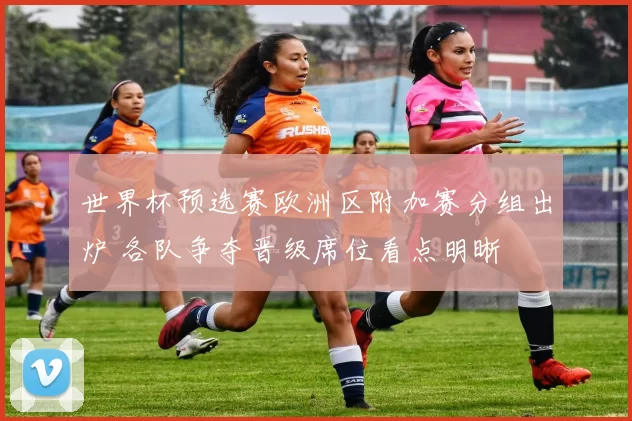 世界杯预选赛欧洲区附加赛分组出炉 各队争夺晋级席位看点明晰