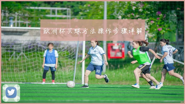 欧洲杯买球方法操作步骤详解