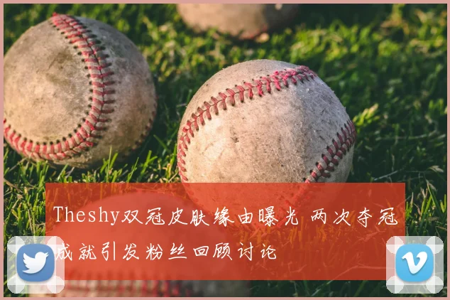Theshy双冠皮肤缘由曝光 两次夺冠成就引发粉丝回顾讨论