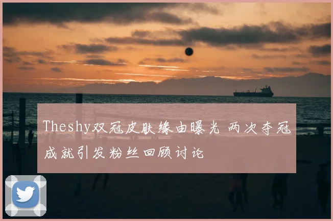 Theshy双冠皮肤缘由曝光 两次夺冠成就引发粉丝回顾讨论