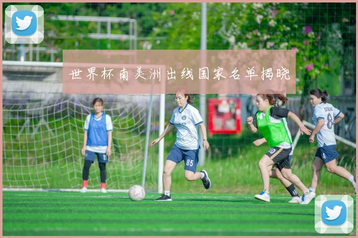世界杯南美洲出线国家名单揭晓